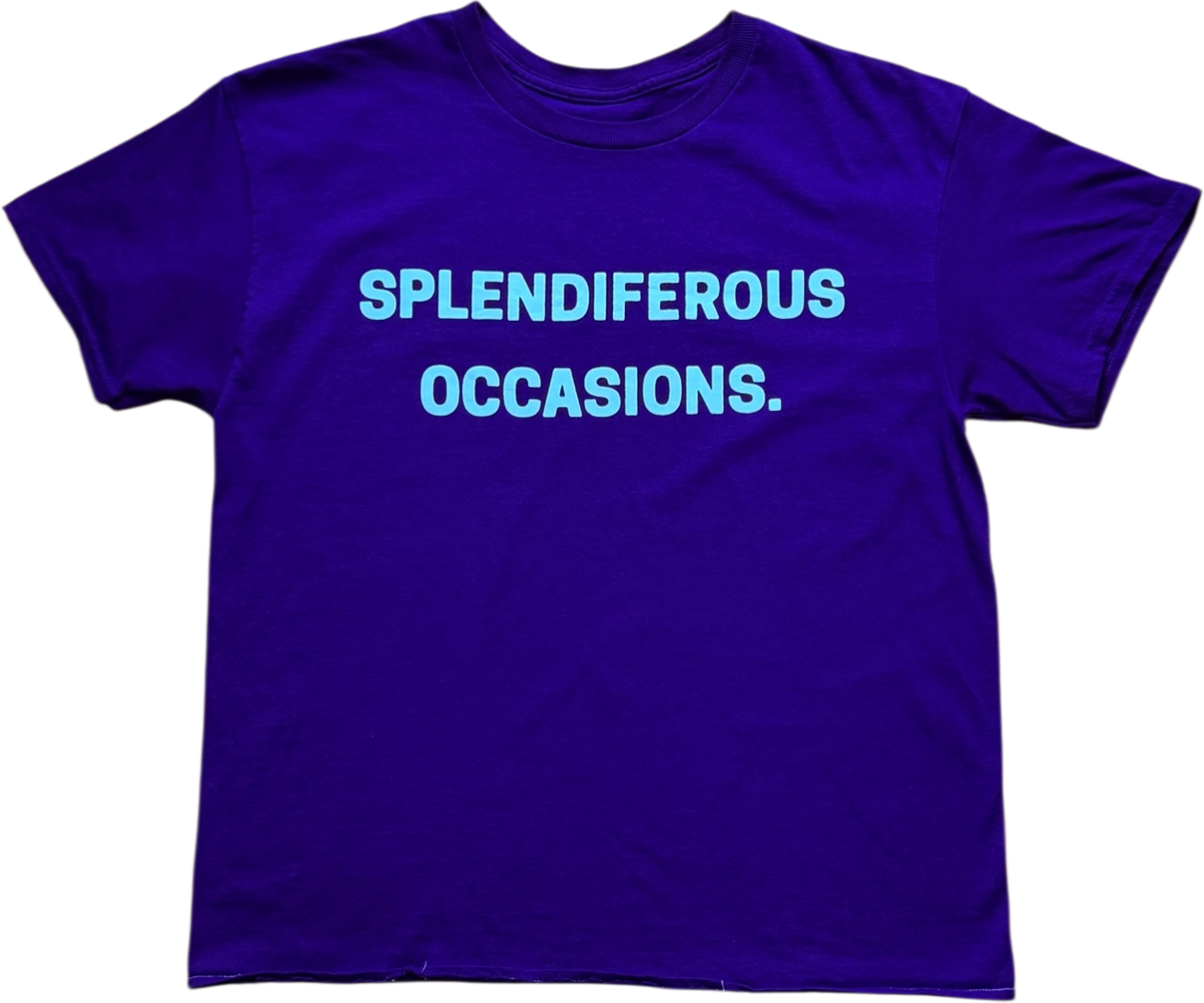 SPLENDIFEROUS OCCASION TEE ‘PRPL’