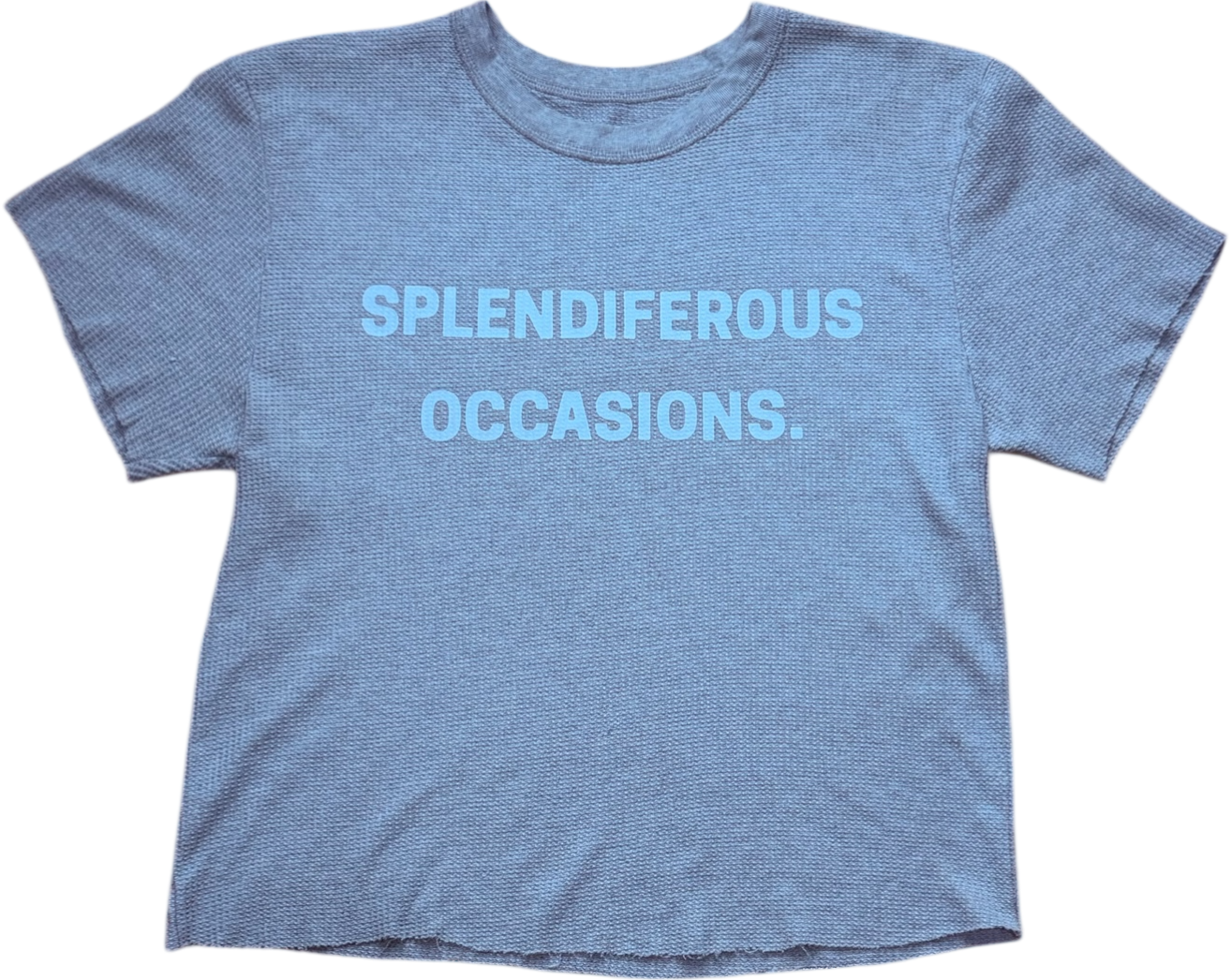 SPLENDIFEROUS OCCASION WAFFLE TEE ‘GROUT’